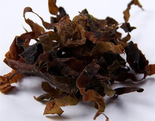 广昆布
