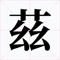 茲