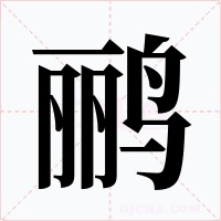 鹂