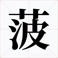 菠